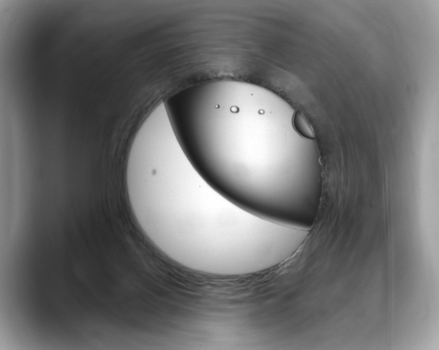X0000088710070200705311046