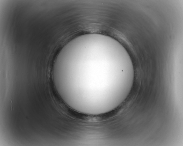 X0000088710073200705311046