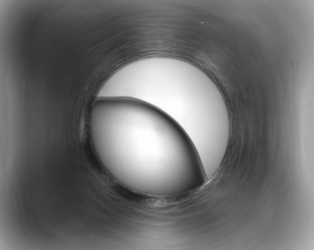 X0000088710074200705311046