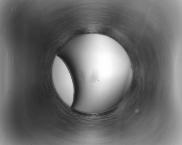 X0000088710075200705311046