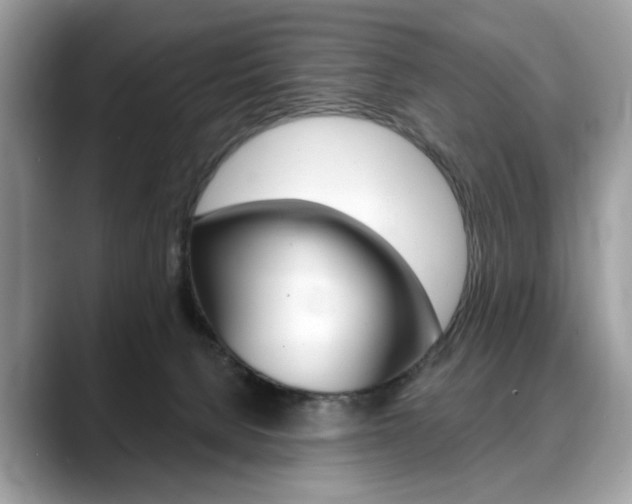 X0000088710080200705311046