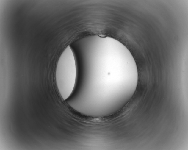 X0000088710083200705311046