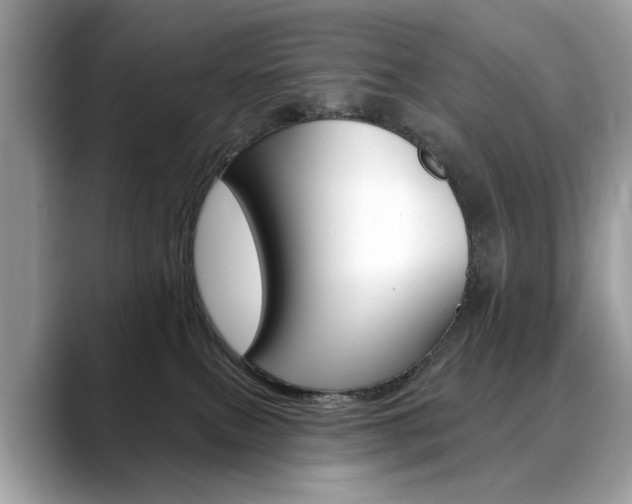 X0000088710087200705311046