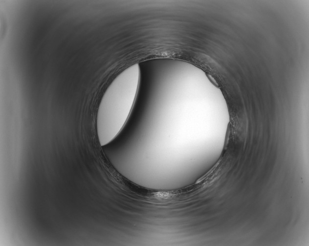 X0000088710095200705311046