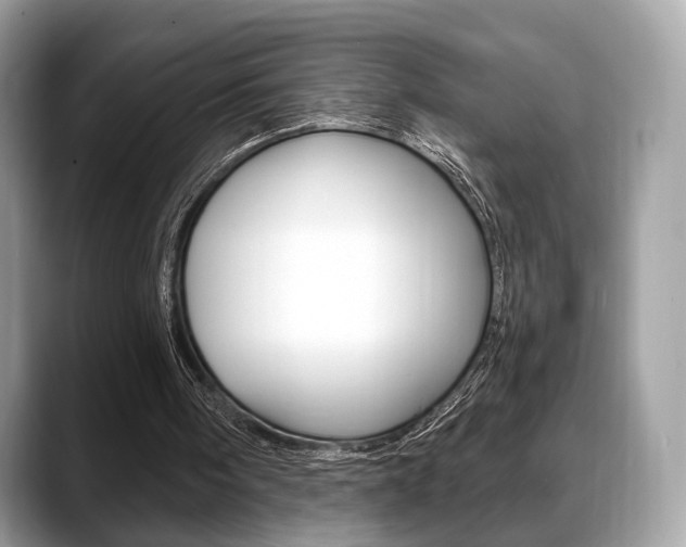 X0000088710098200705311046