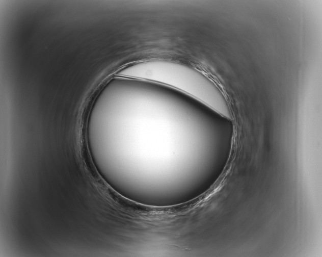 X0000088710101200705311046
