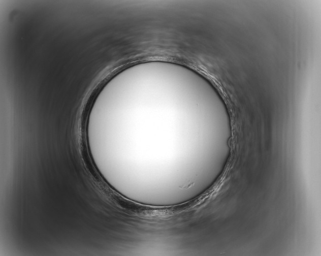 X0000088710102200705311046