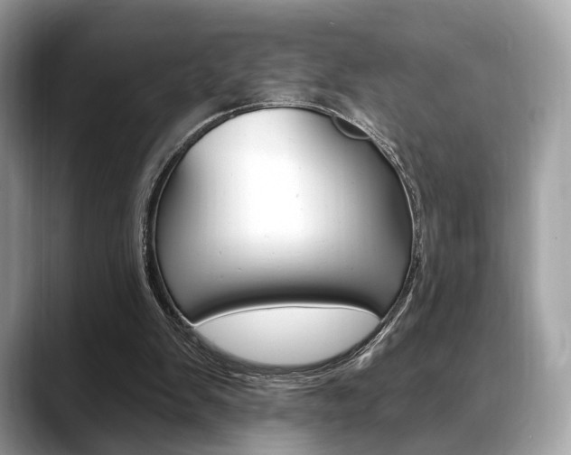 X0000088710103200705311046