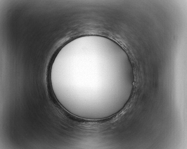 X0000088710104200705311046