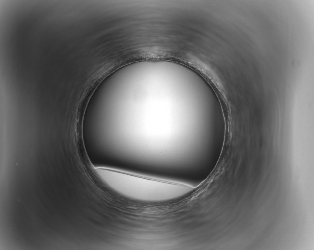 X0000088710105200705311046
