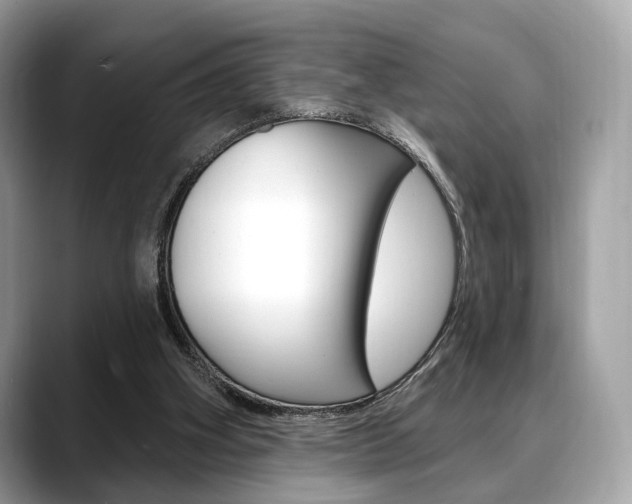 X0000088710106200705311046