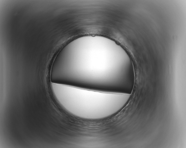 X0000088710107200705311046