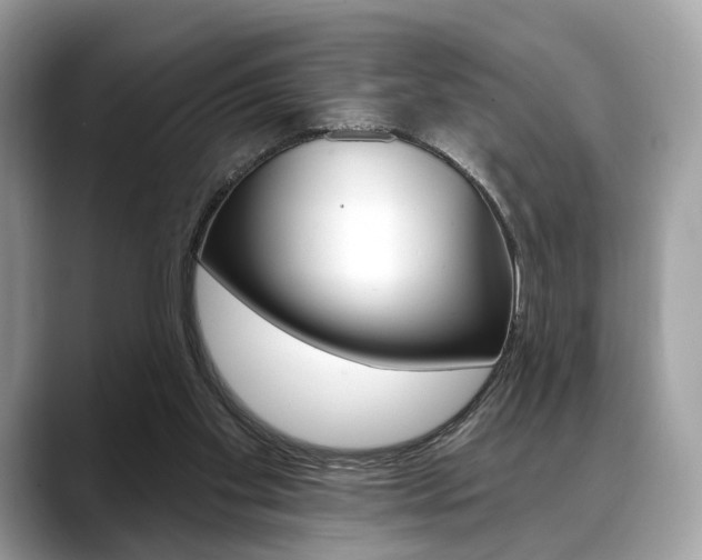X0000088710109200705311046