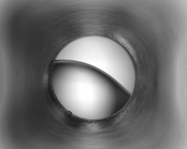 X0000088710113200705311045