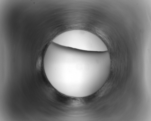 X0000088710118200705311045
