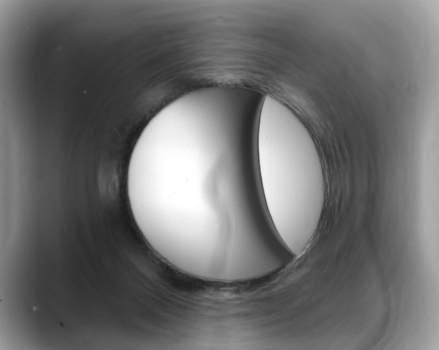 X0000088710120200705311045