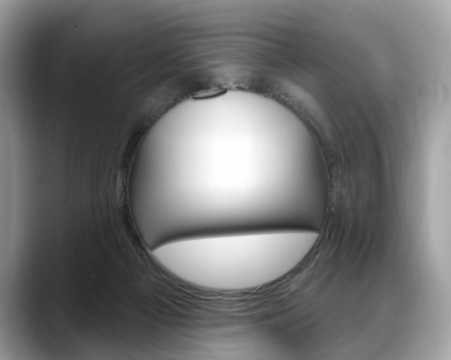 X0000088710121200705311045