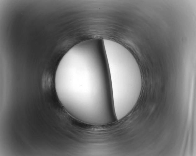 X0000088710123200705311045