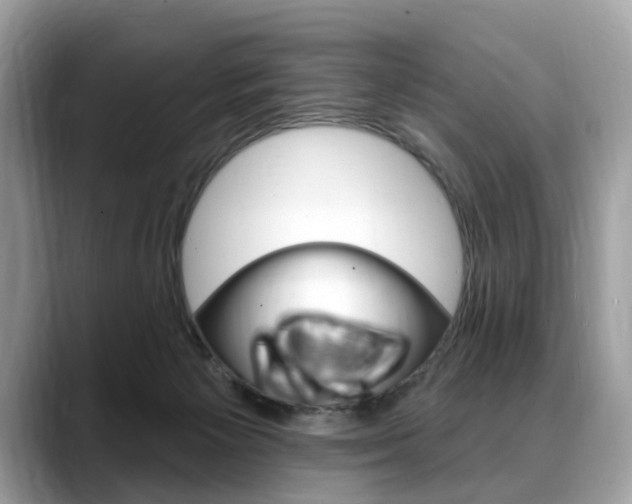 X0000088710125200705311045