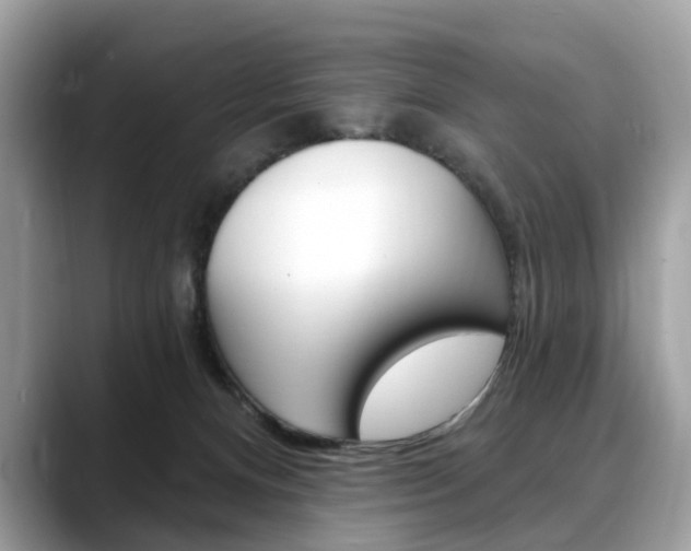 X0000088710128200705311045
