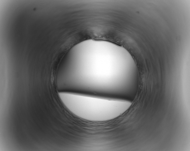 X0000088710129200705311045