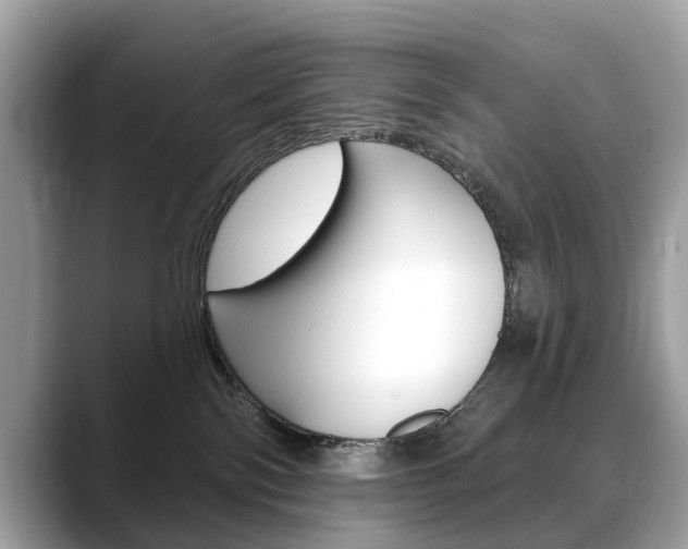 X0000088710138200705311045
