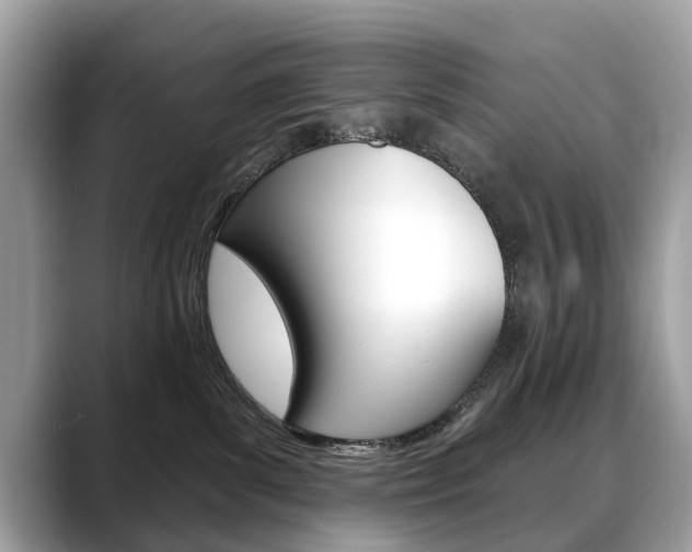 X0000088710139200705311045