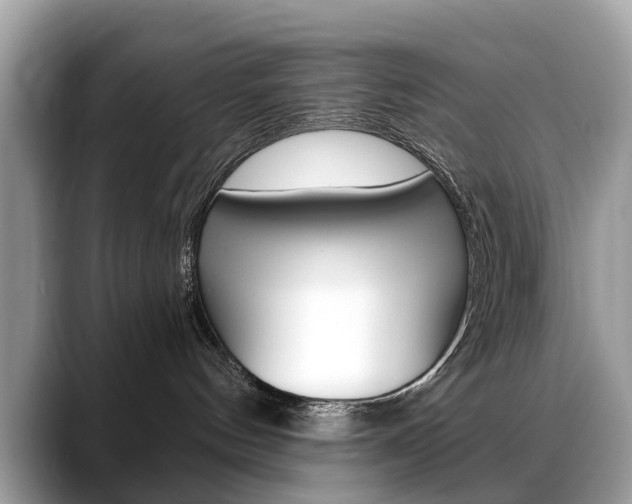 X0000088710144200705311045