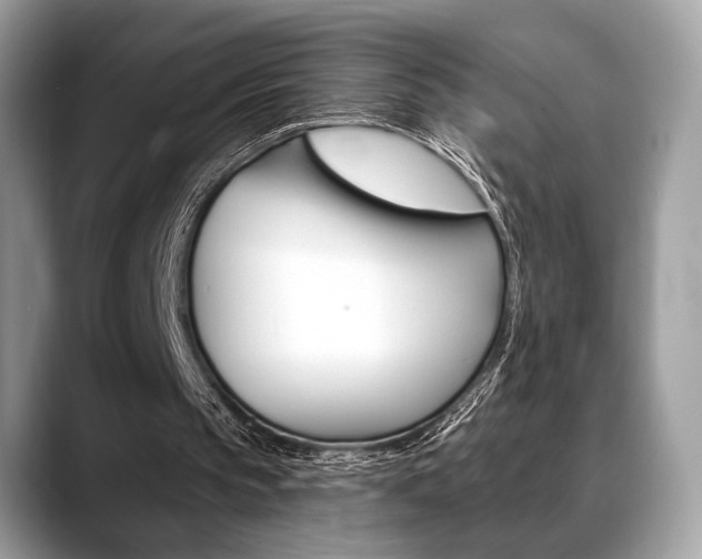 X0000088710145200705311045