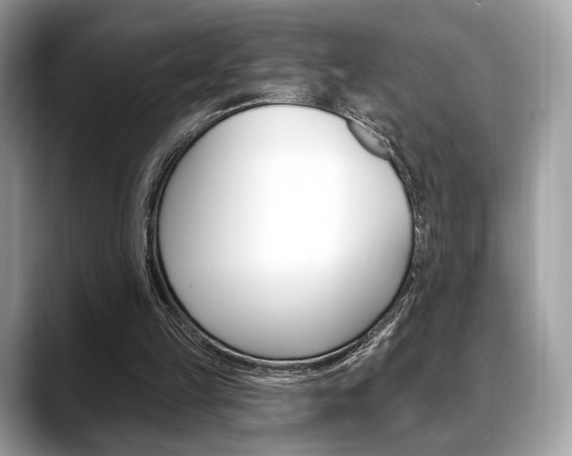 X0000088710149200705311045