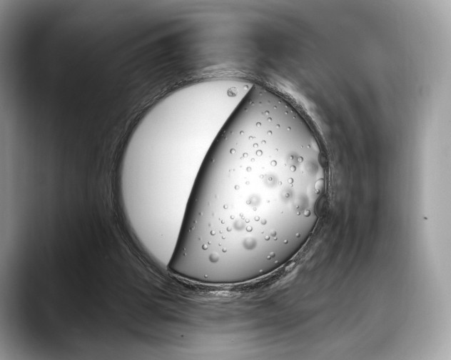 X0000088710153200705311045
