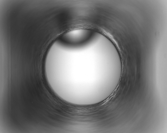 X0000088710154200705311045