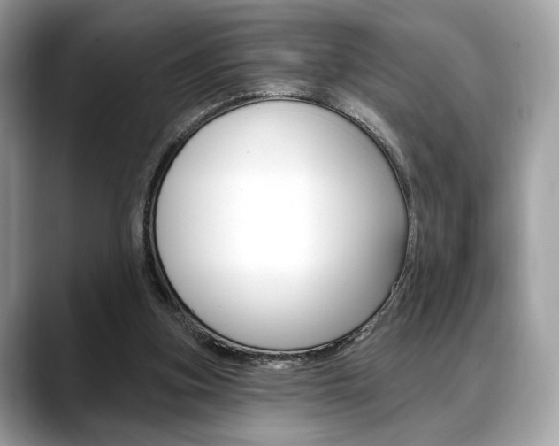 X0000088710155200705311045