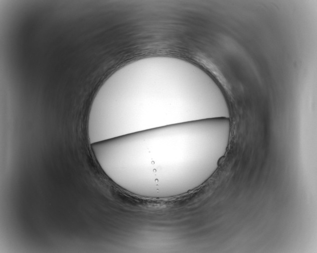 X0000088710161200705311045