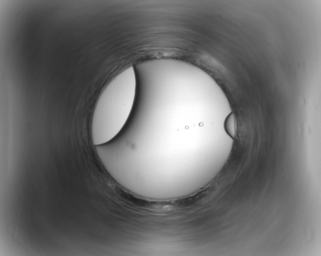 X0000088710169200705311045