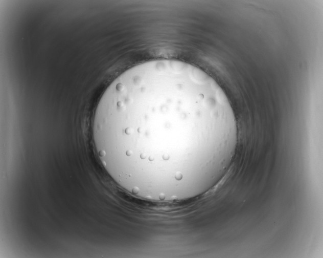 X0000088710171200705311045