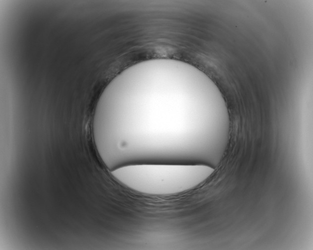 X0000088710177200705311045
