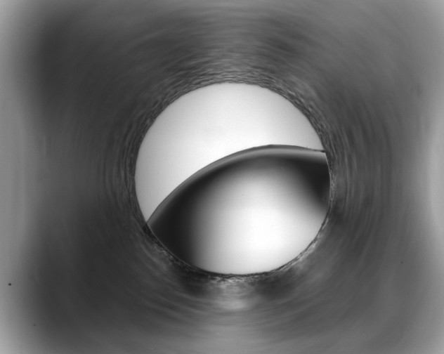 X0000088710186200705311045