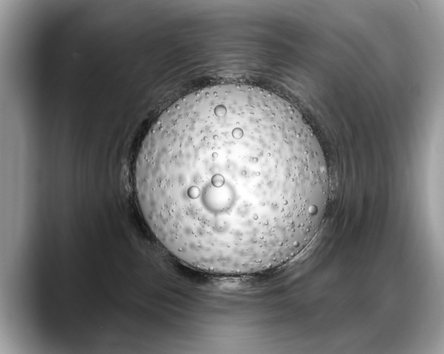 X0000088710187200705311045