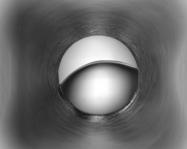 X0000088710192200705311045