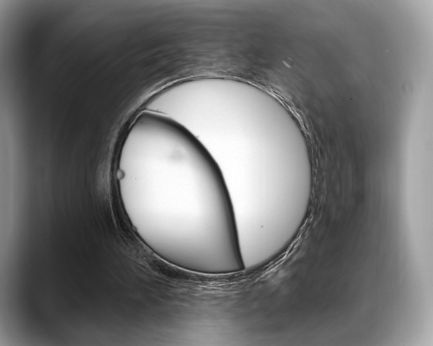 X0000088710196200705311045