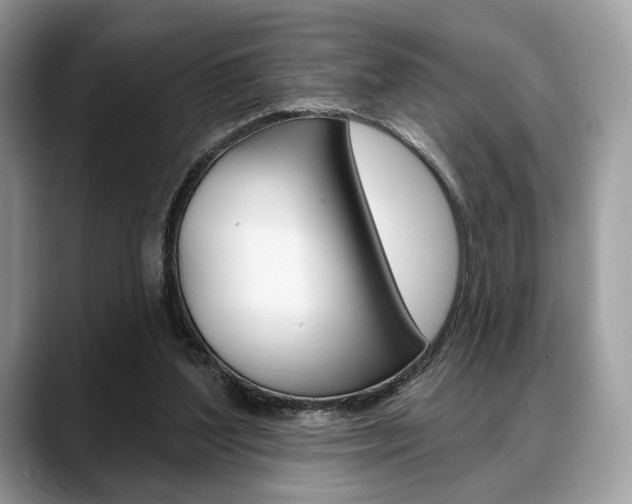 X0000088710204200705311044