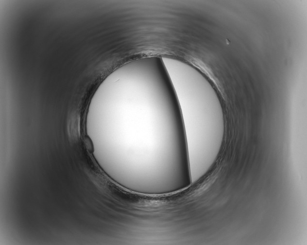 X0000088710205200705311044