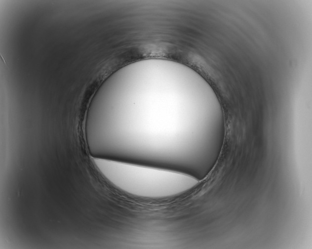 X0000088710209200705311044