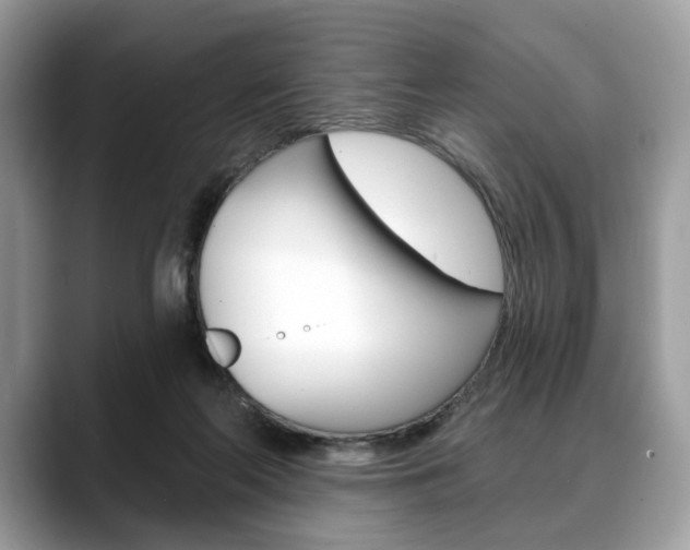 X0000088710214200705311044