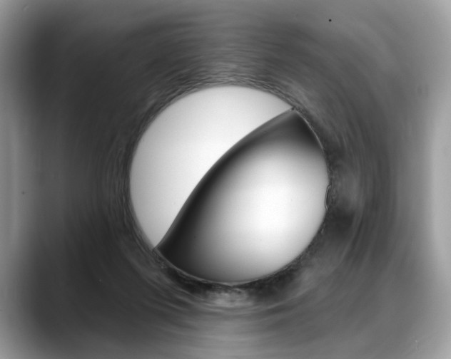 X0000088710215200705311044