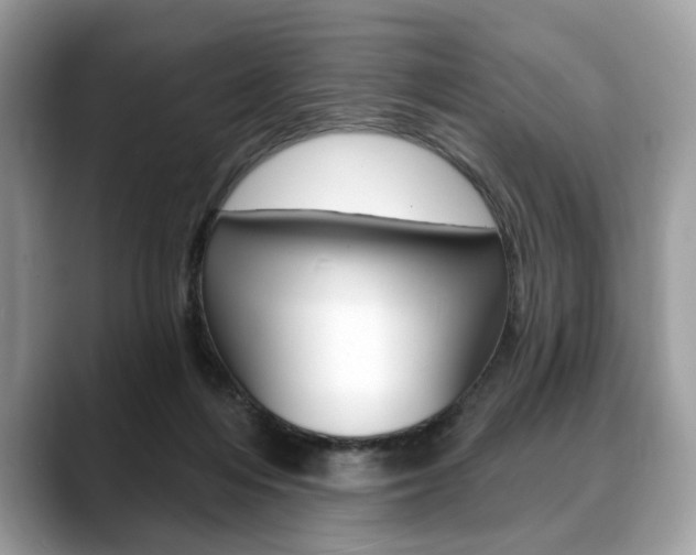 X0000088710216200705311044