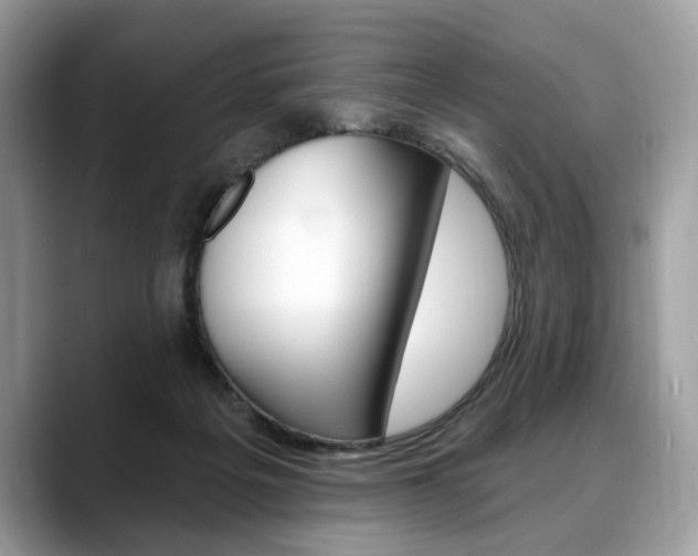 X0000088710217200705311044