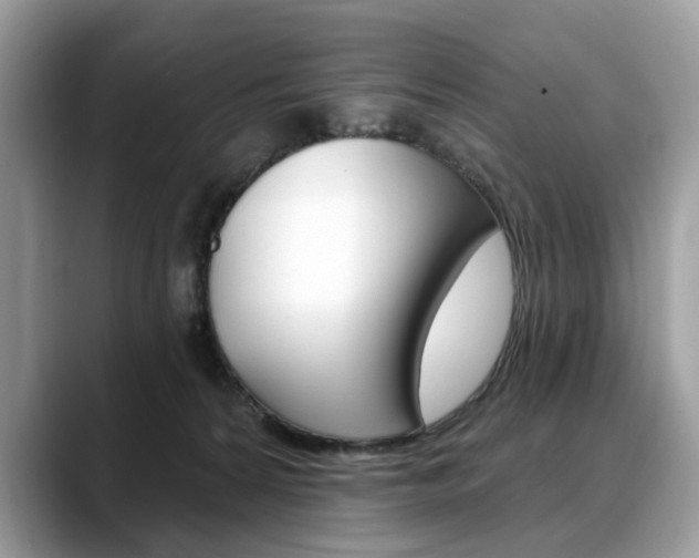 X0000088710224200705311044