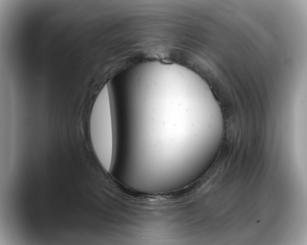X0000088710229200705311044